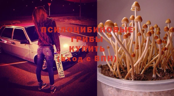 альфа пвп Магадан