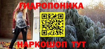 PSILOCYBIN Гудермес