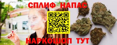 PSILOCYBIN Гудермес