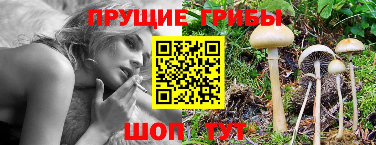 Псилоцибиновые грибы ЛСД  Псилоцибиновые грибы ЛСД  Вход с VPN  Тутаев 