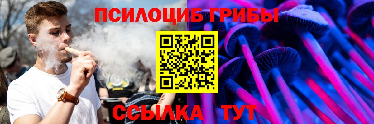 Галлюциногенные грибы Cubensis Тутаев