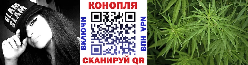 shop как зайти  где можно купить наркотик  Тутаев  Бошки марихуана марихуана 